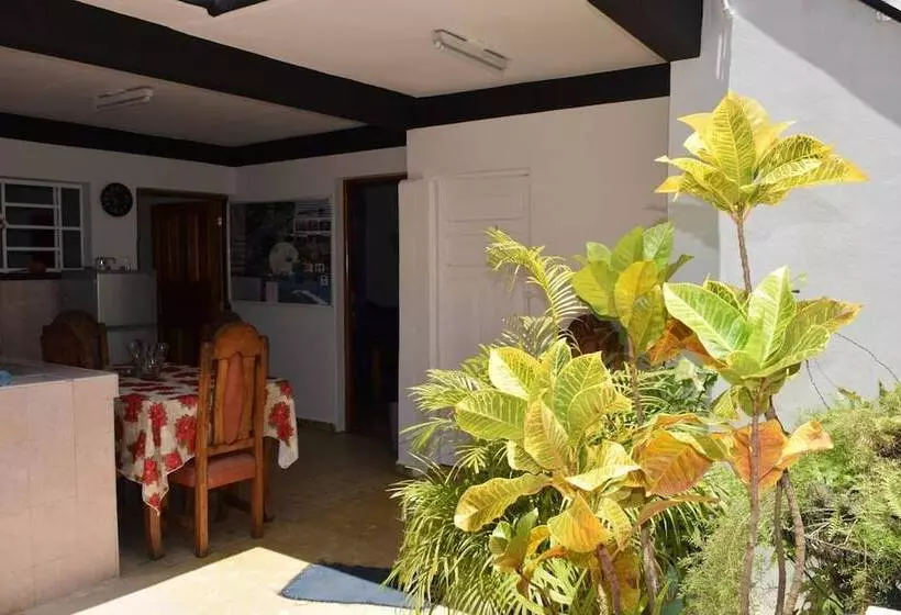 ペンション Villa Las Almendras