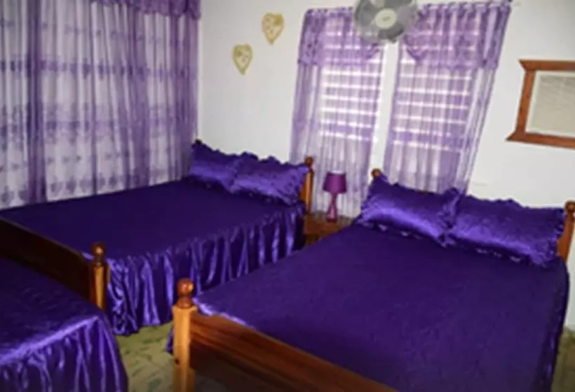 ペンション Villa Las Almendras