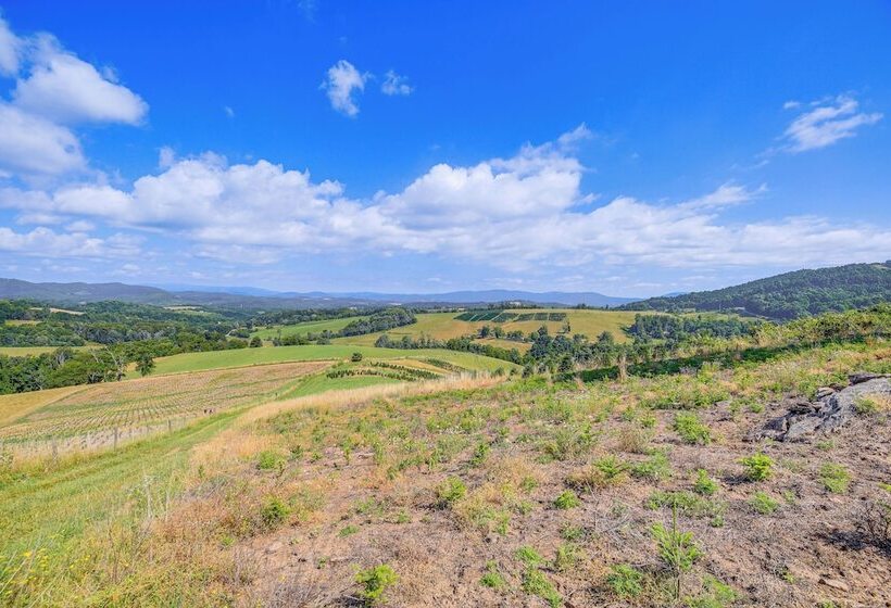 Blue Ridge Mtn Views: Ranch Style Home In Sparta!