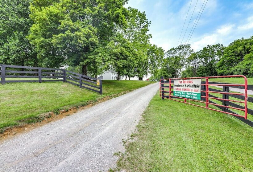 Vineyard Retreat At George Vest Historical Home