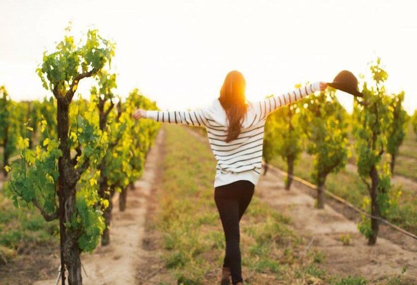 ベッドアンドブレックファースト Bordeaux Inn Lodi