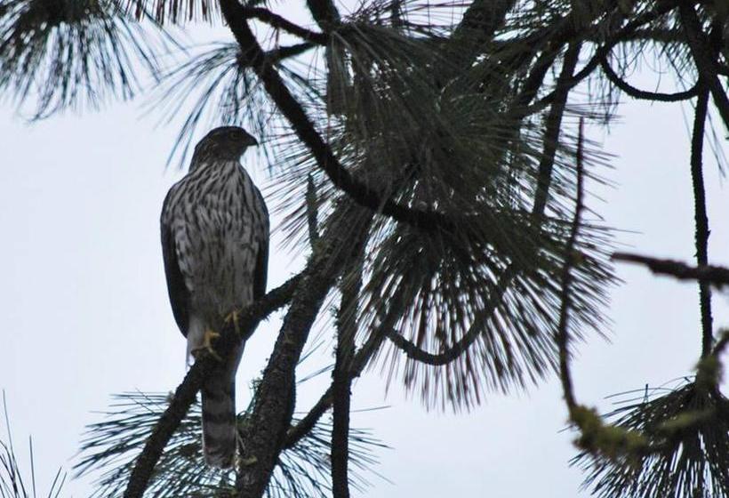 Cashmere Mountain Bed & Breakfast