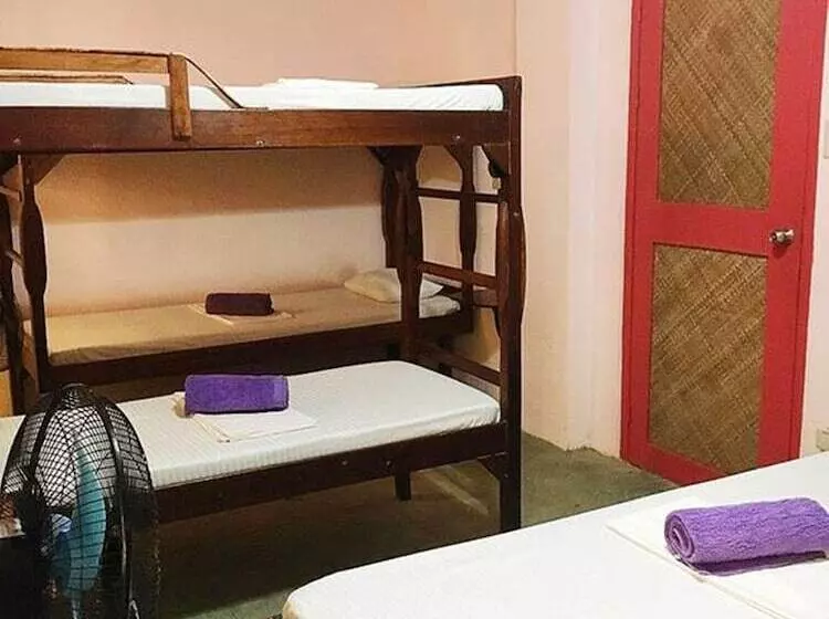 Elternative Hostel