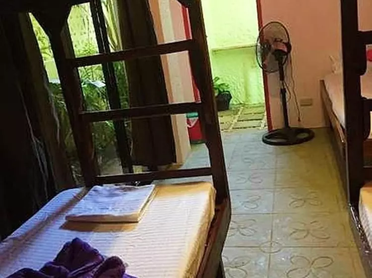Elternative Hostel