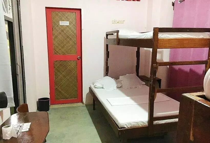 Elternative Hostel