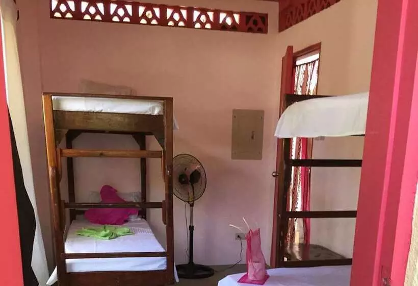 Elternative Hostel