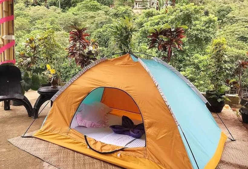 Elternative Hostel