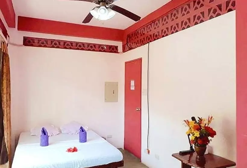 Elternative Hostel