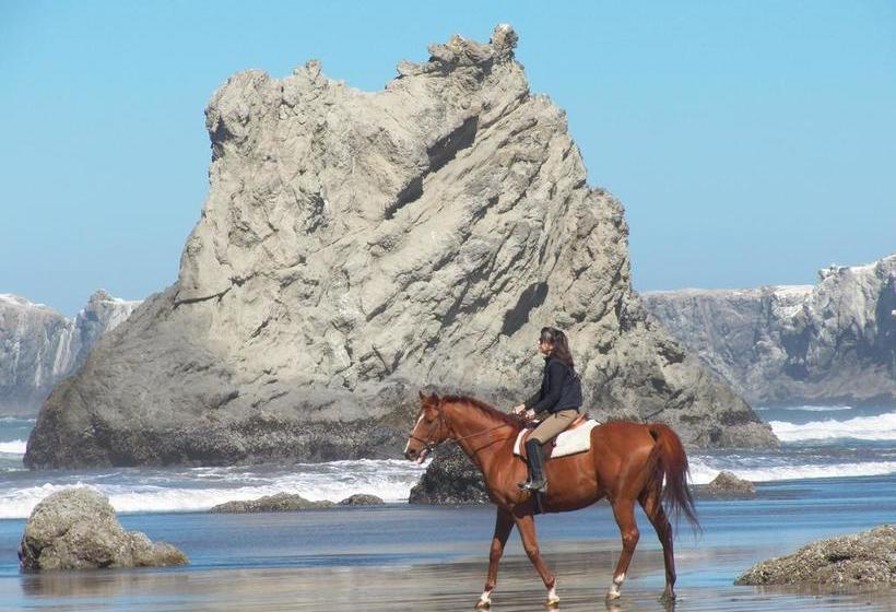 בית מלון כפרי Windermere On The Beach