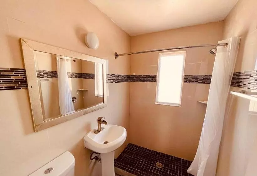 モーテル Siesta Inn Sarasota   Indian Beach