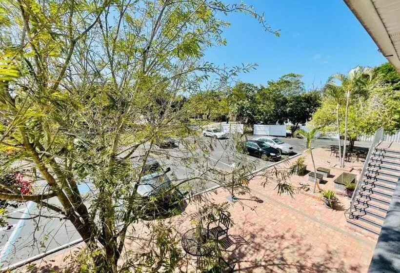 モーテル Siesta Inn Sarasota   Indian Beach