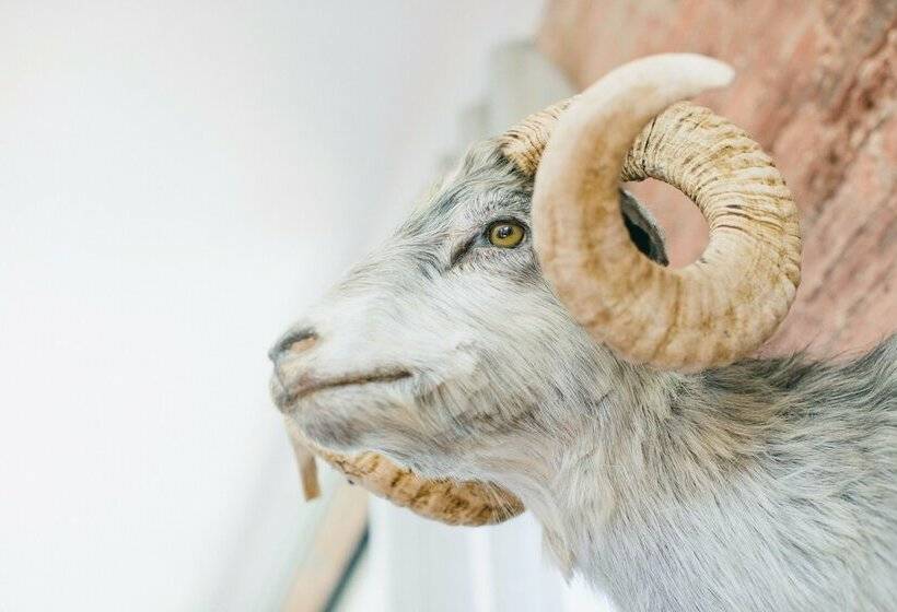 The Publishing House Bed And Breakfast