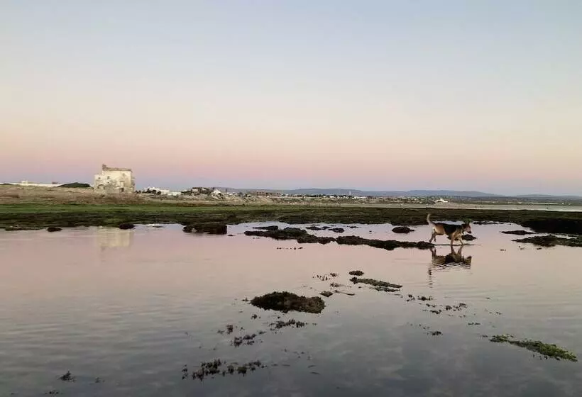 Auberge Du Marabout