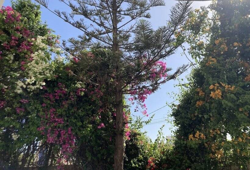 فندق صغير Auberge Du Marabout