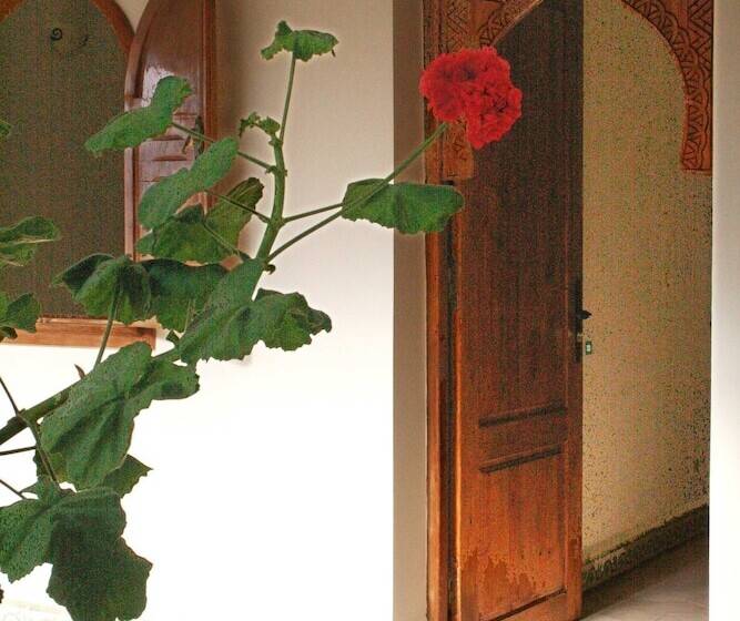 فندق صغير Auberge Du Marabout