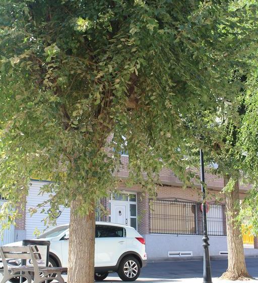 호스텔 Hostal Don Lucas