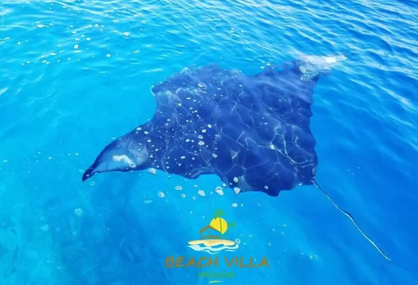 تختخواب و صبحانه Beach Villa Ukulhas