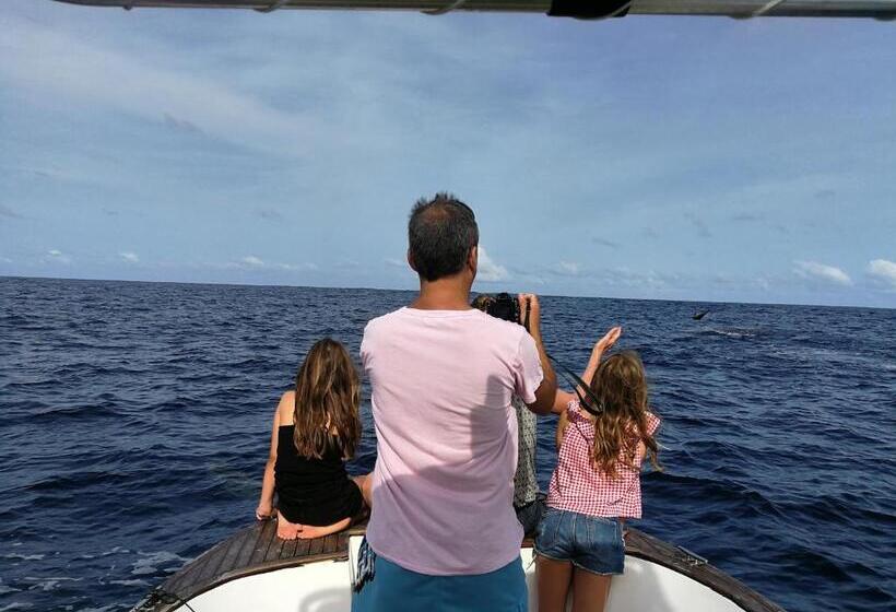 تختخواب و صبحانه Beach Villa Ukulhas