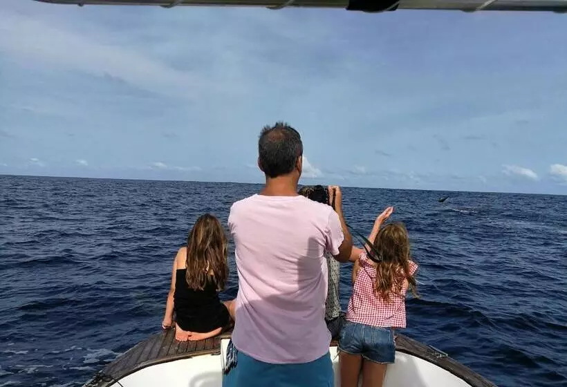 تختخواب و صبحانه Beach Villa Ukulhas