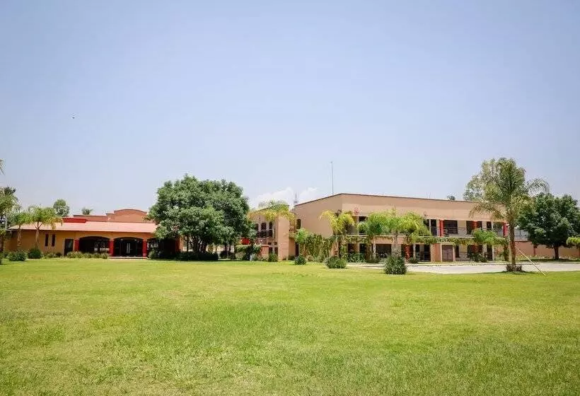 ホテル Ejecutivo Aeropuerto