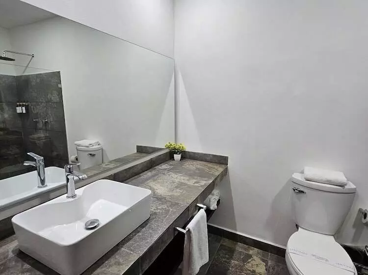 ホテル Ejecutivo Aeropuerto