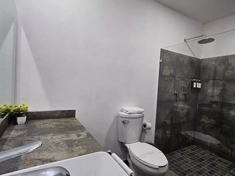 ホテル Ejecutivo Aeropuerto