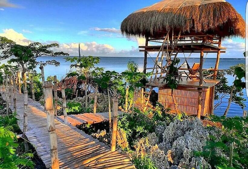 渡假胜地  Birdland Beach Club