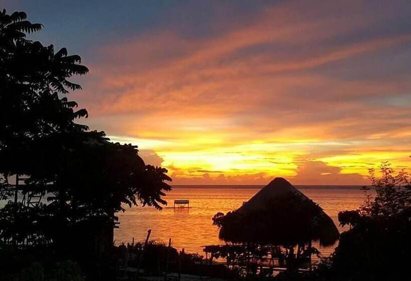 渡假胜地  Birdland Beach Club