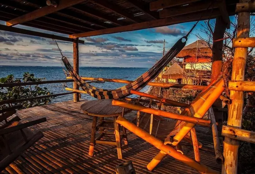 Lomakeskus Birdland Beach Club
