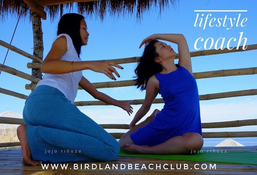 渡假胜地  Birdland Beach Club