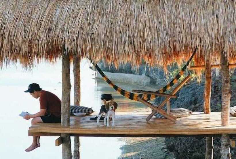 渡假胜地  Birdland Beach Club