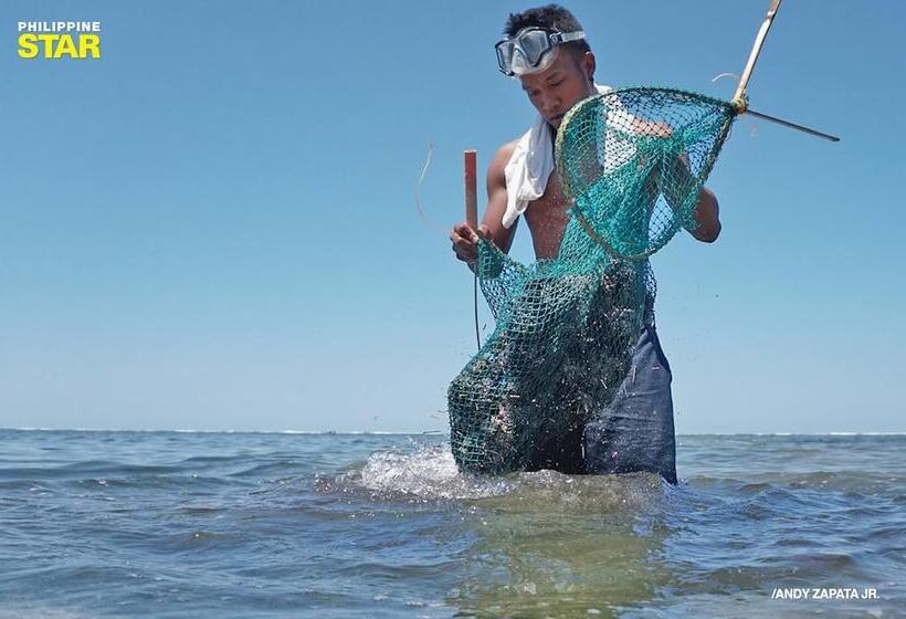 渡假胜地  Birdland Beach Club