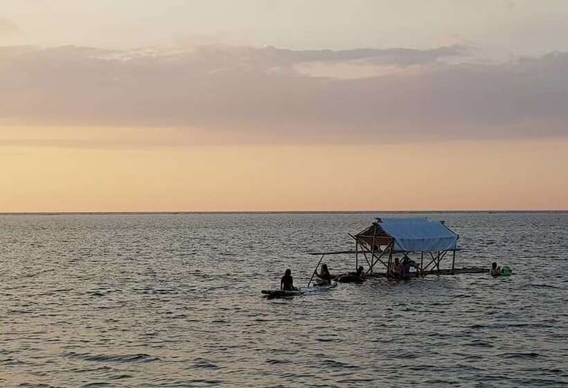 渡假胜地  Birdland Beach Club