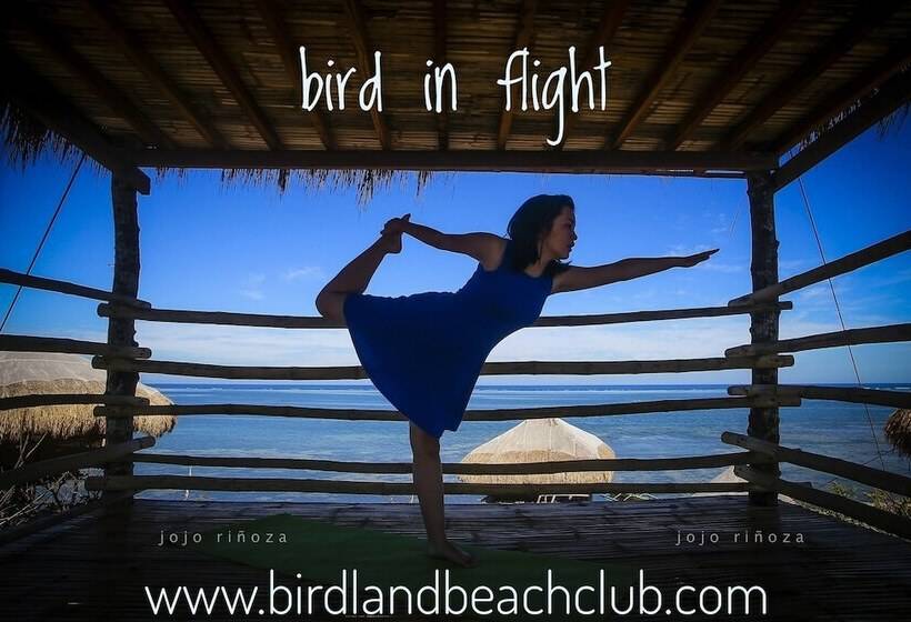 渡假胜地  Birdland Beach Club