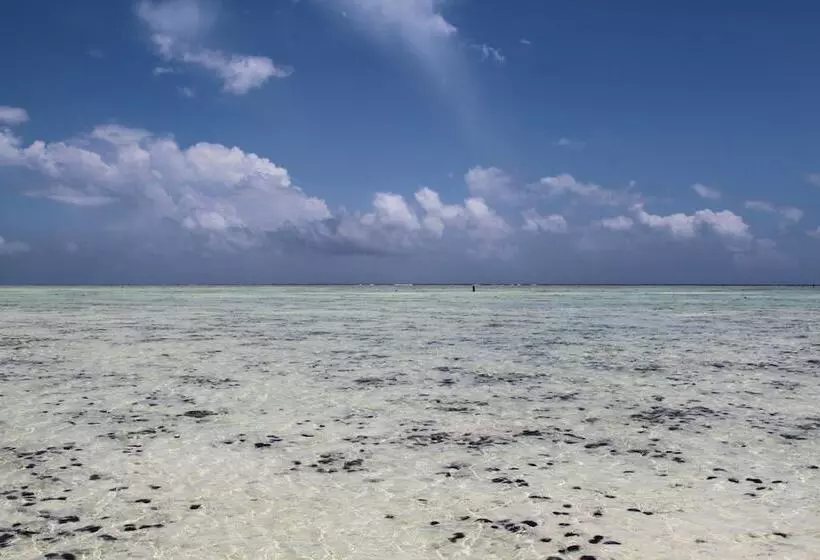 Ujamaa Beach Resort