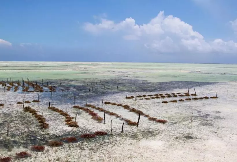 Ujamaa Beach Resort