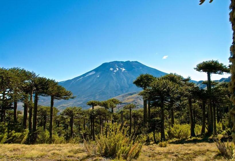 Valle Corralco Hotel & Spa