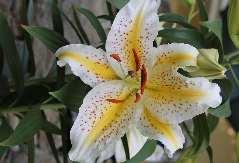 민박 Green River Bridge House