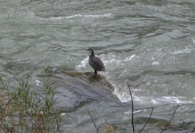 Bed and Breakfast Haiku Cabañas Panorámicas
