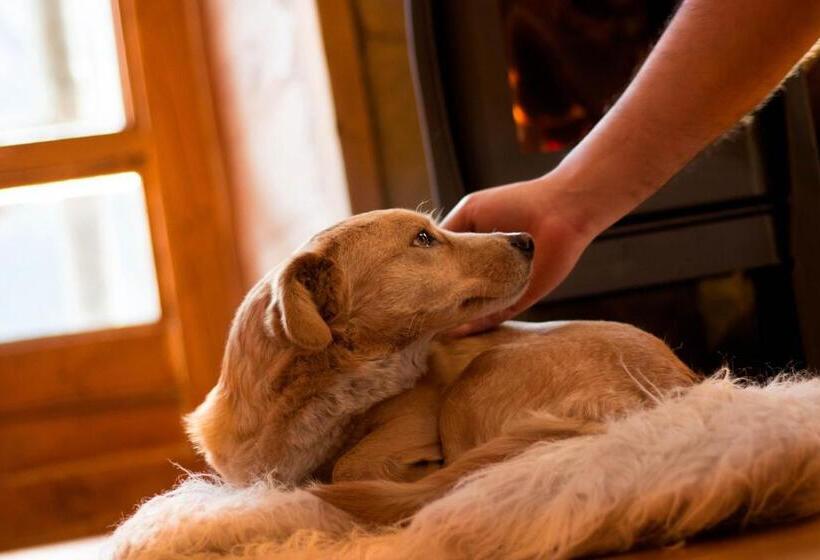 Bed and Breakfast Haiku Cabañas Panorámicas