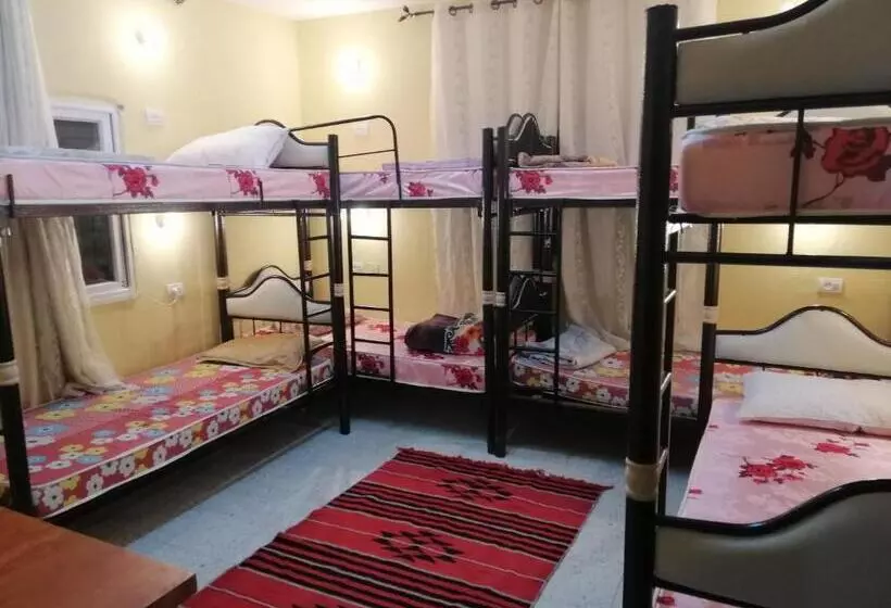 Bunksurfing Hostel