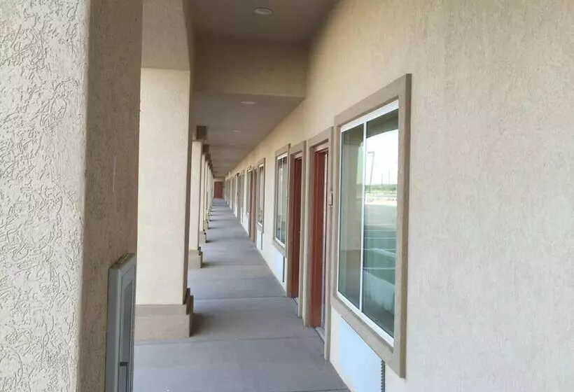ホテル La Bonita Inn & Suites   Crane