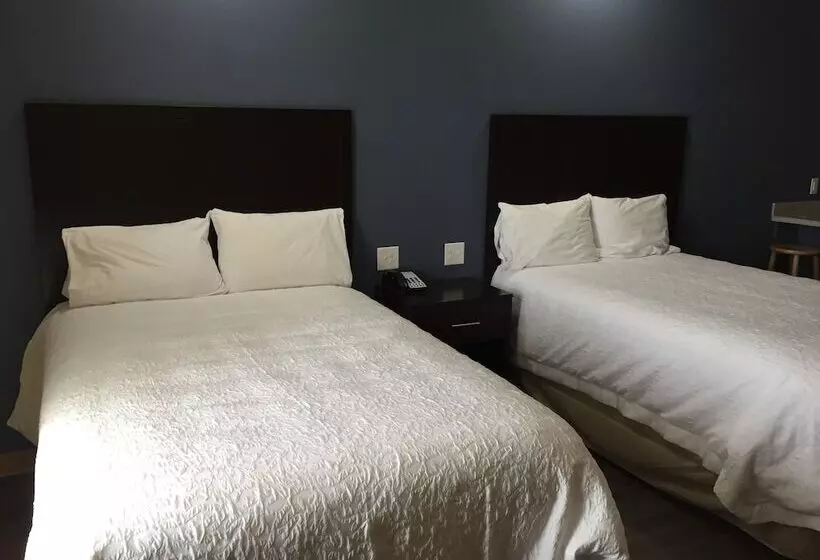 ホテル La Bonita Inn & Suites   Crane