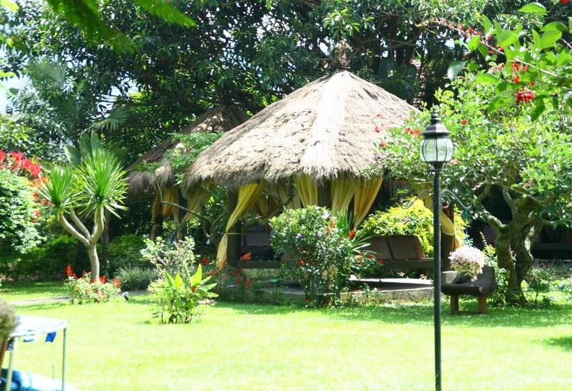 בית מלון כפרי The La Oma Cafe &