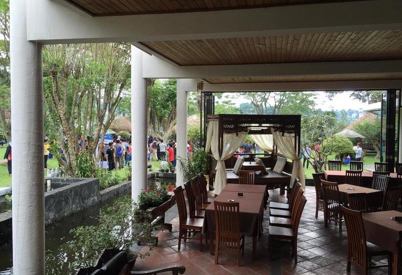 בית מלון כפרי The La Oma Cafe &