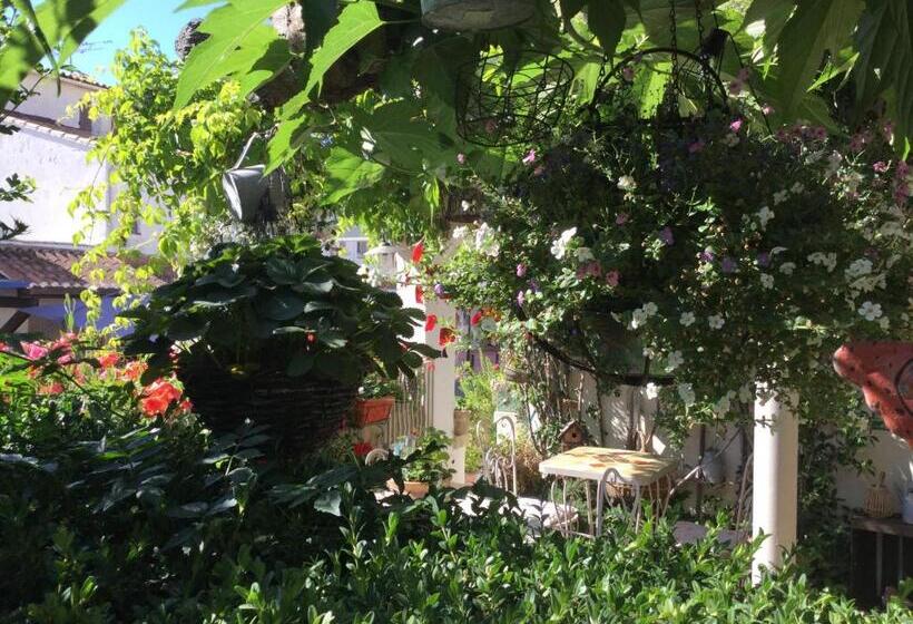 هتل Le Méditérranée