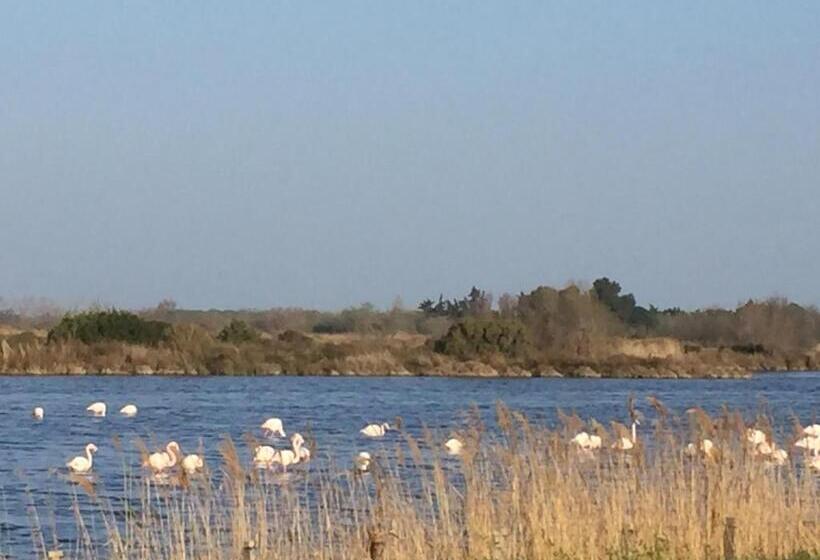 هتل Le Méditérranée