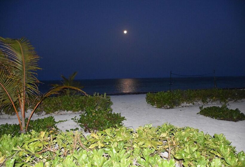 酒店 Pwani Silver Sand Beach