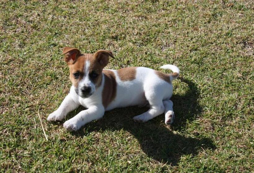 בית מלון כפרי The Noble Ant