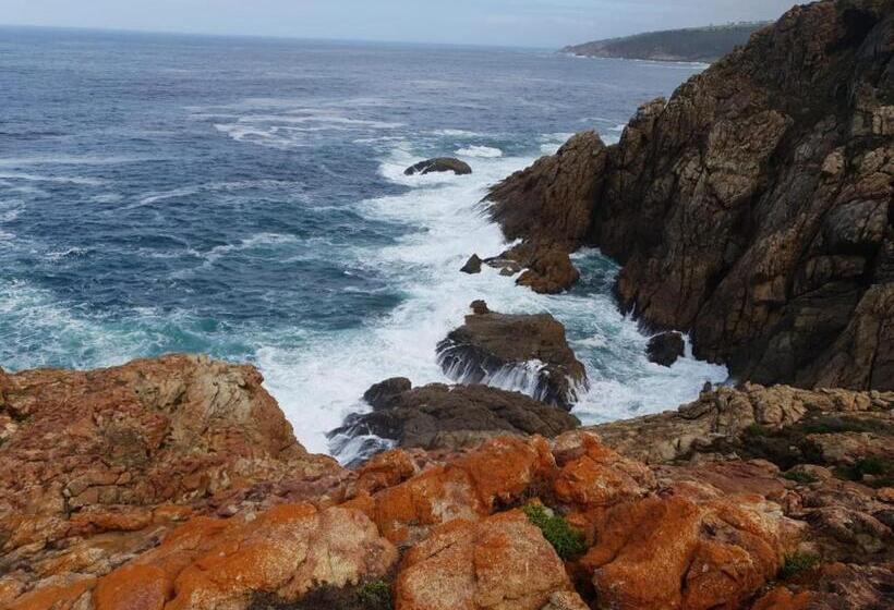 בית מלון כפרי The Noble Ant